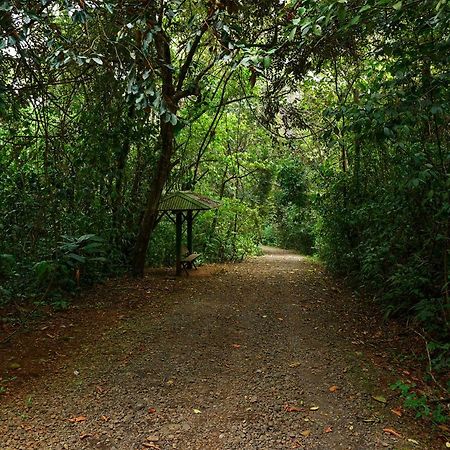 Tree Houses Hotel Costa Rica Florencia Bagian luar foto