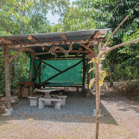 Tree Houses Hotel Costa Rica Florencia Bagian luar foto
