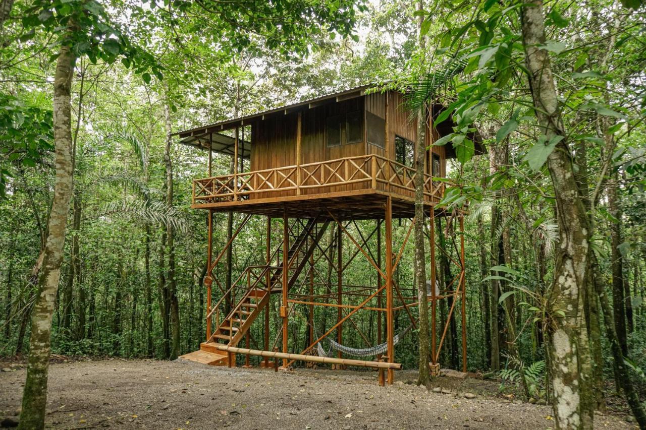 Tree Houses Hotel Costa Rica Florencia Bagian luar foto