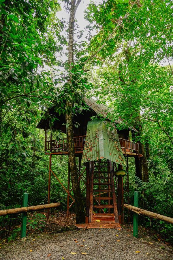 Tree Houses Hotel Costa Rica Florencia Bagian luar foto