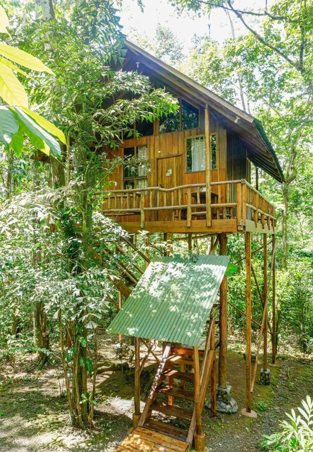 Tree Houses Hotel Costa Rica Florencia Bagian luar foto