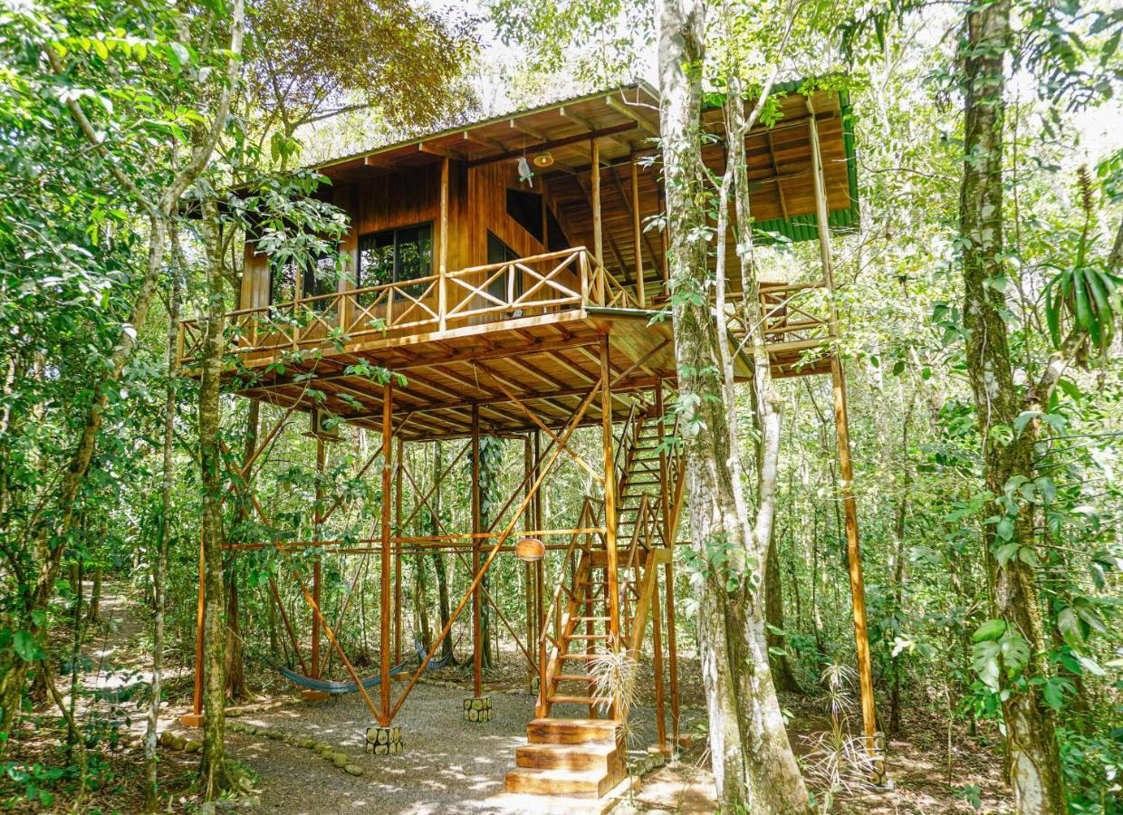 Tree Houses Hotel Costa Rica Florencia Bagian luar foto