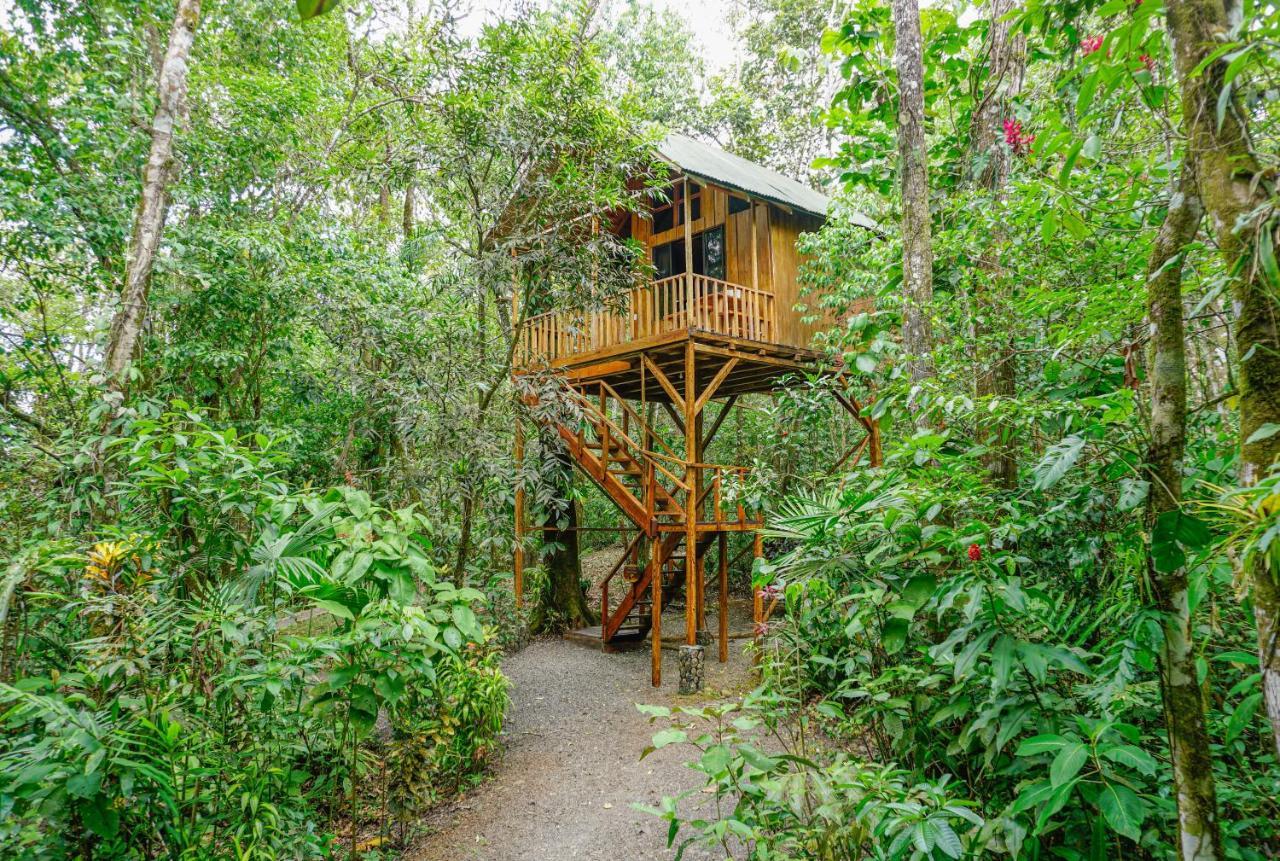 Tree Houses Hotel Costa Rica Florencia Bagian luar foto