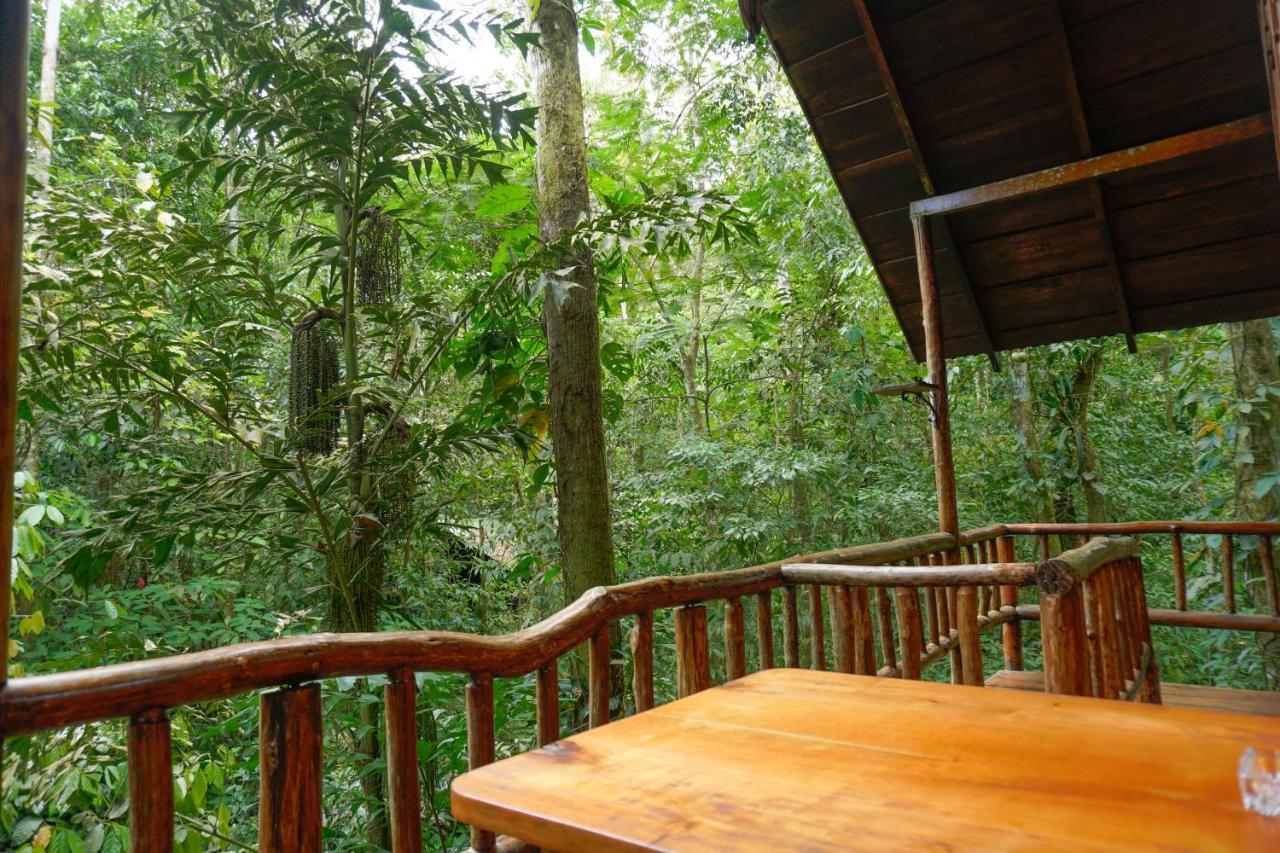 Tree Houses Hotel Costa Rica Florencia Bagian luar foto