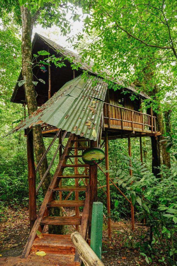 Tree Houses Hotel Costa Rica Florencia Bagian luar foto