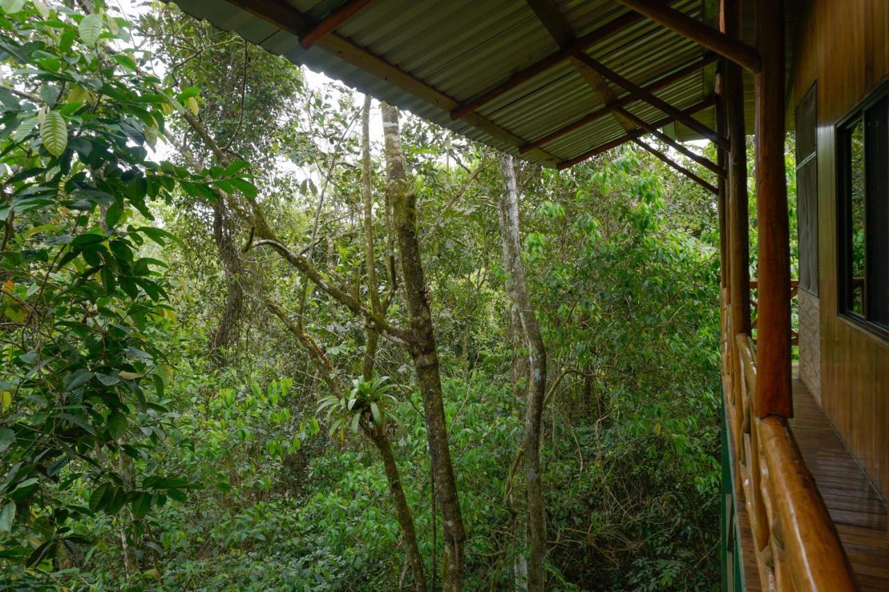 Tree Houses Hotel Costa Rica Florencia Bagian luar foto