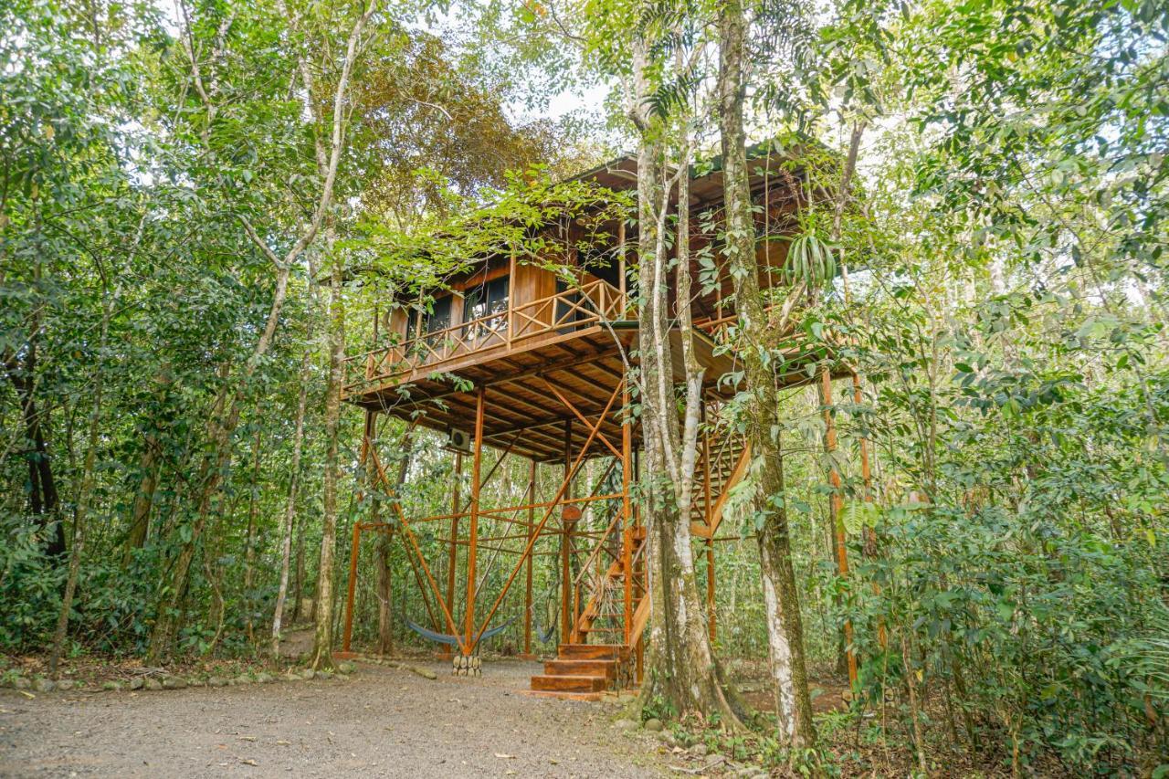 Tree Houses Hotel Costa Rica Florencia Bagian luar foto