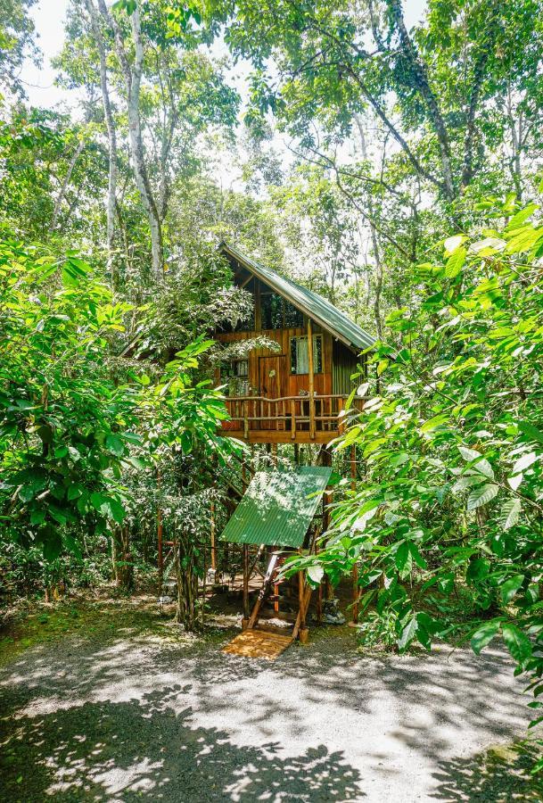 Tree Houses Hotel Costa Rica Florencia Bagian luar foto