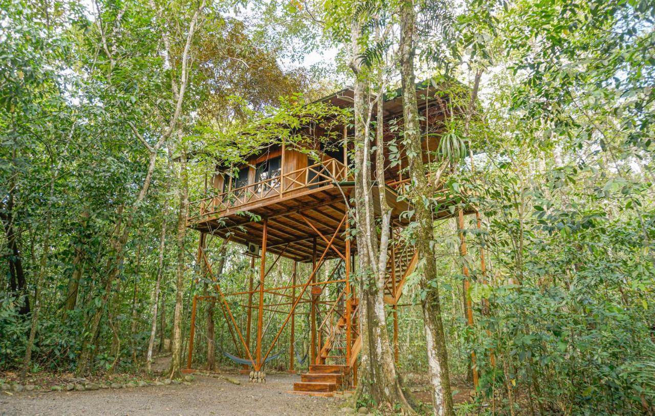 Tree Houses Hotel Costa Rica Florencia Bagian luar foto