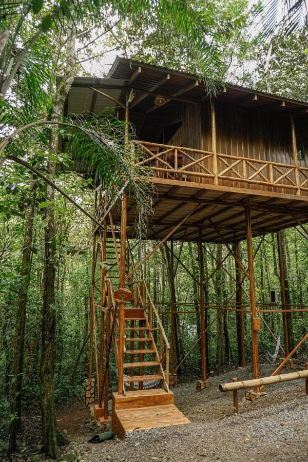 Tree Houses Hotel Costa Rica Florencia Bagian luar foto