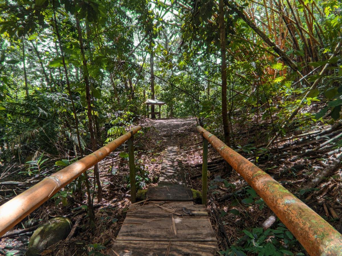 Tree Houses Hotel Costa Rica Florencia Bagian luar foto