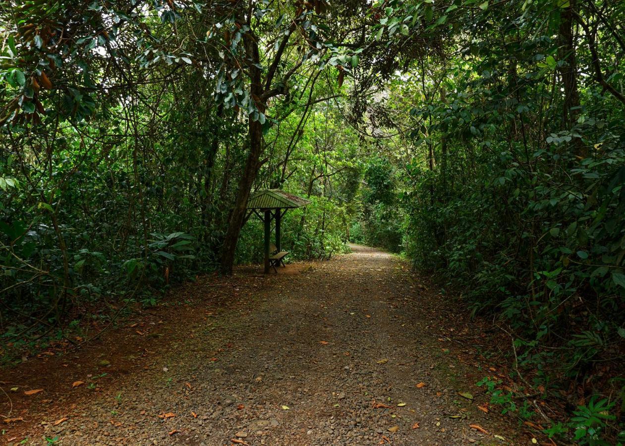 Tree Houses Hotel Costa Rica Florencia Bagian luar foto