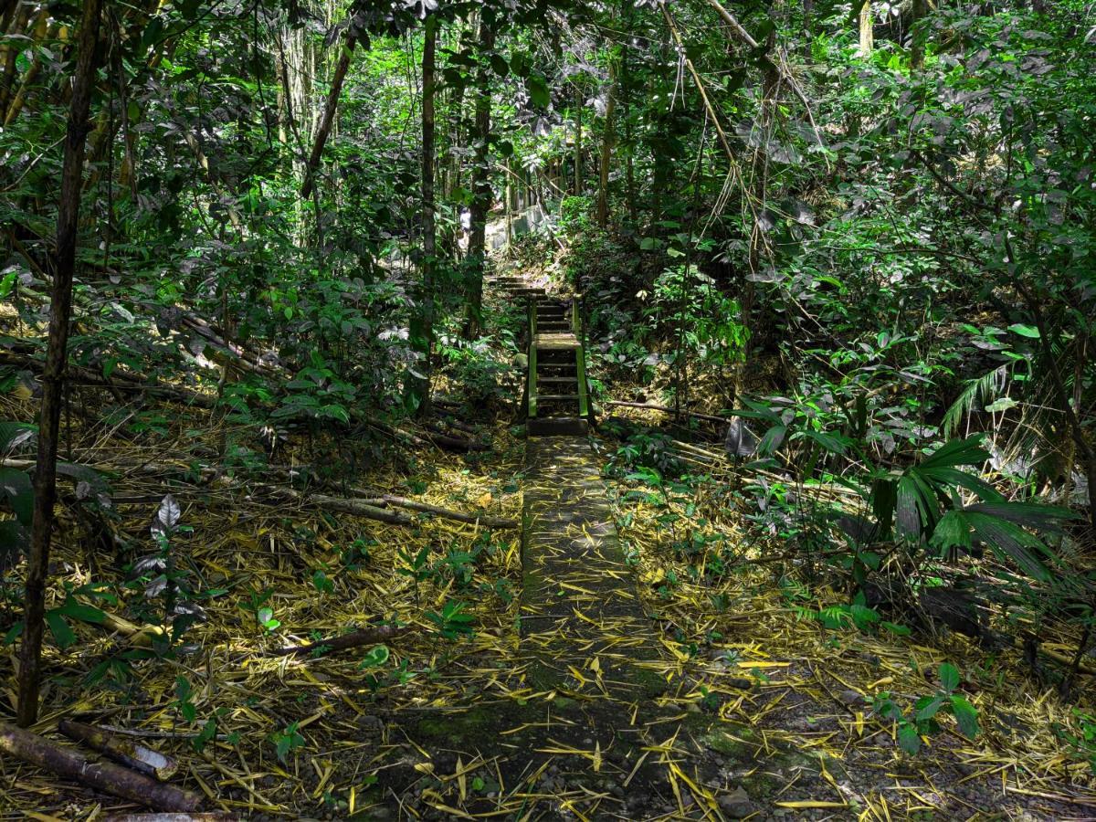 Tree Houses Hotel Costa Rica Florencia Bagian luar foto