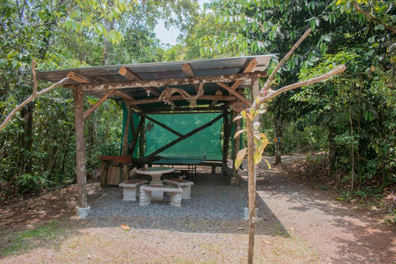 Tree Houses Hotel Costa Rica Florencia Bagian luar foto